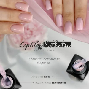 Lip Gloss Esthetic Collection