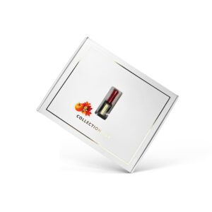 Alternative view of Coffret limité 6 vernis semi Collection Autumn Vibes + nuancier
